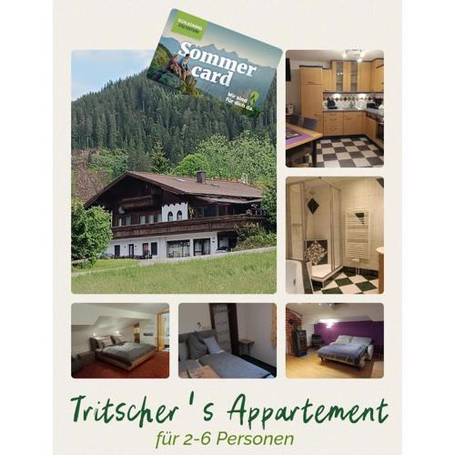 Tritscher's Appartement Ramsau Dachstein