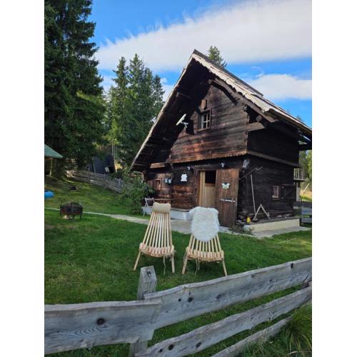 Urige Waldbienenhütte