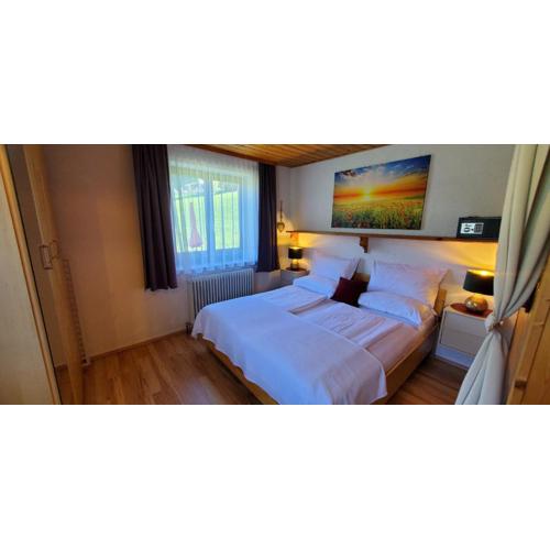 Urlaub am Krausberghof, Apartment mit Balkon und Parkplatz, Aufenthaltsraum, Sauna und Infrarotkabine, inmitten der Natur, kostenfreie Kaffeekapseln, 6 Fahrminuten zur Alpentherme Gastein und zur Schlossalmbahn, Spielplatz, großer Gartenbereich