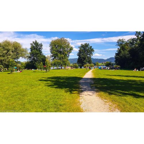 Urlaub am Wallersee