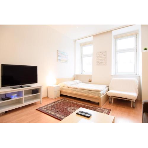 Vienna City Apartment Dampfgasse