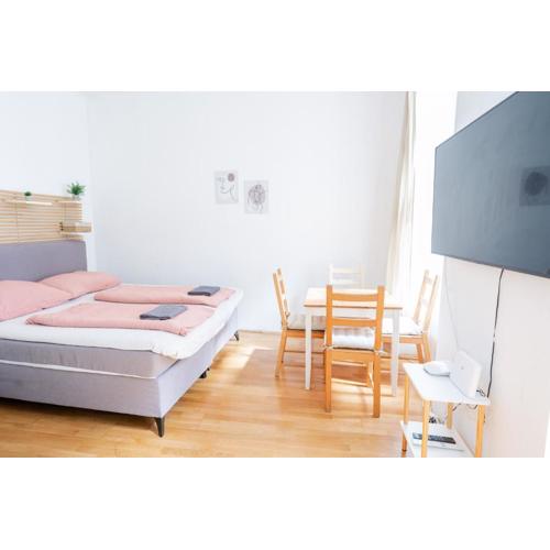 Vienna City Apartment Erlachgasse