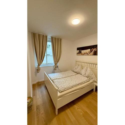 Vienna Laurenz apartment