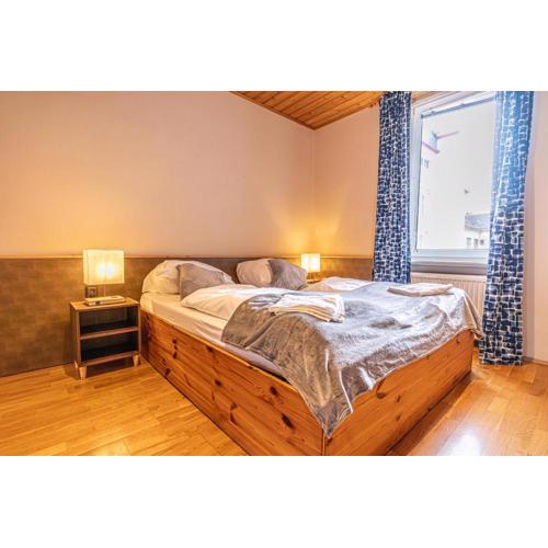 Vienna's Finest Spacious 2BR & 1LR Apartment