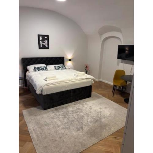 Vienne City Apartment Crown 6