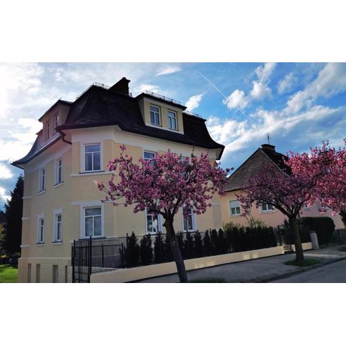 Villa Kreuzbergl - Apartment