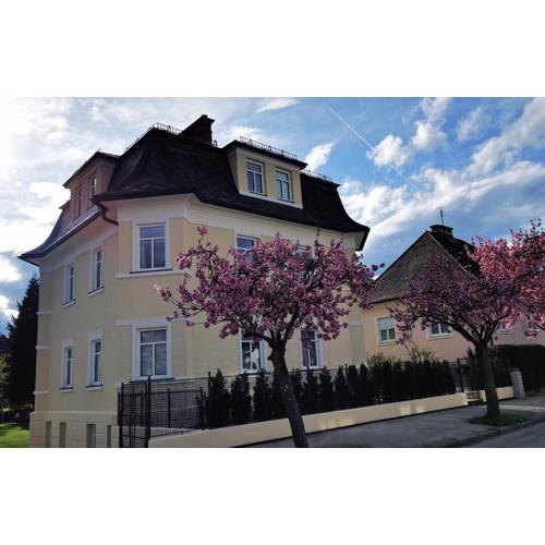 Villa Kreuzbergl - Einzelzimmer