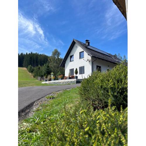 Waldheimatblick