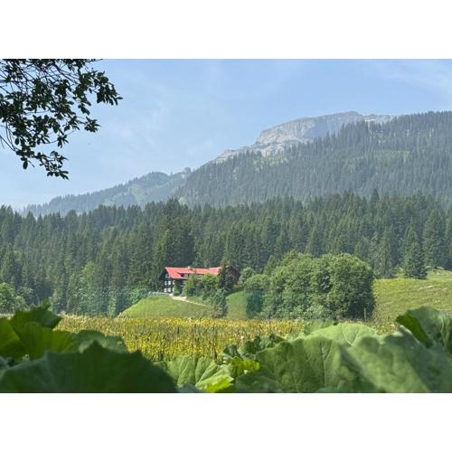 Walmendinger Haus