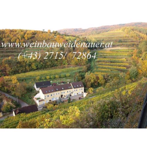 Weinbau Weidenauer