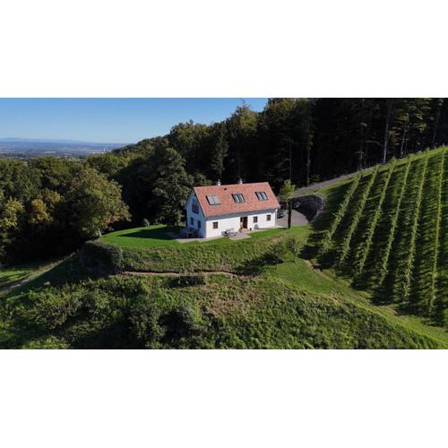 Weingartenhaus Eckberg41