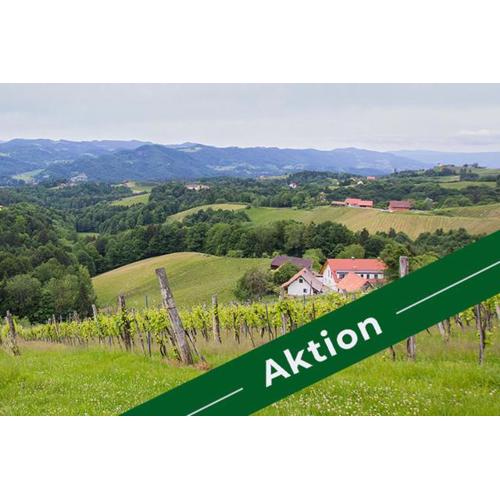 Weingut - Gästezimmer Resch Ludwig vlg. Powoden