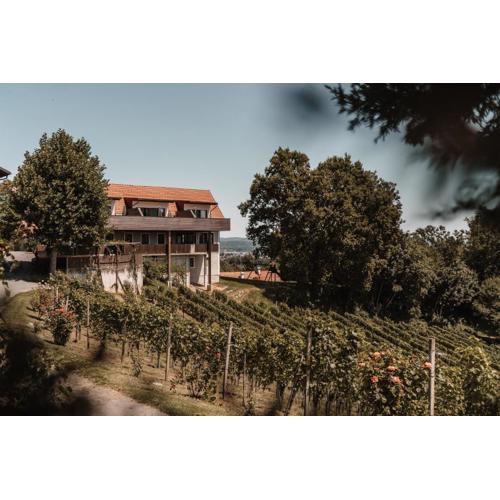 Weingut Assigal