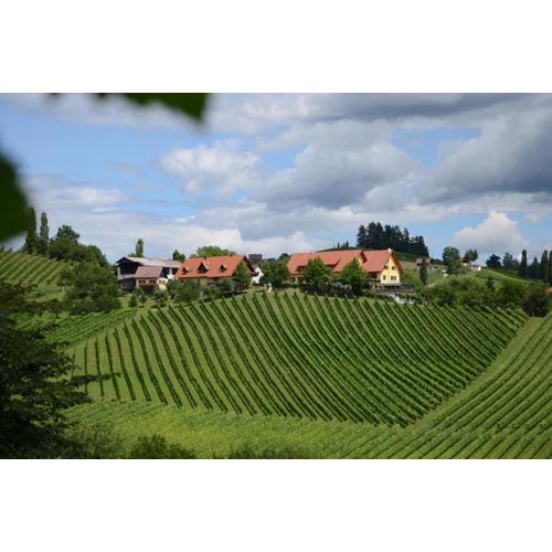 Weingut Fellner