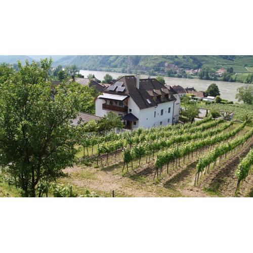 Weingut & Gästezimmer Pammer