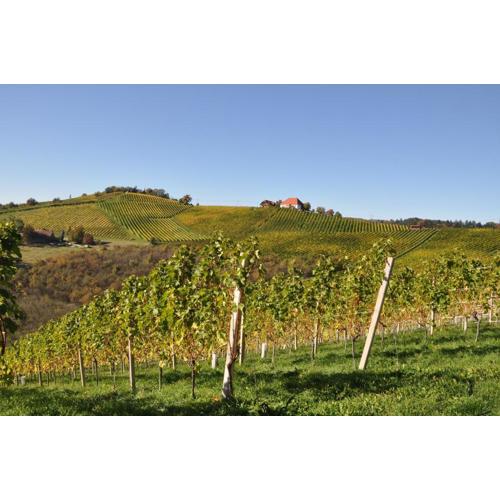 Weingut Kögl