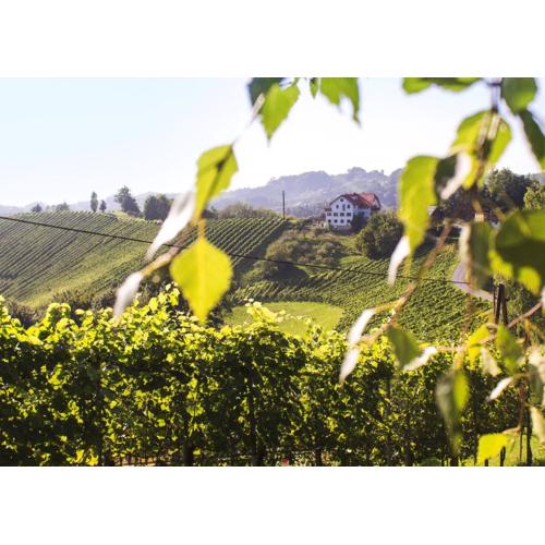 Weingut Peter Grill