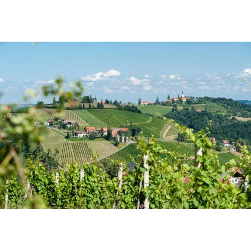 Weingut Schauer