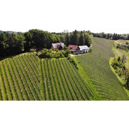 Weingut spitzyPeitler