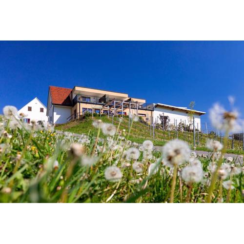 Weingut und Gästezimmer Perner