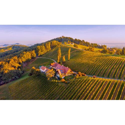 Weingut Winzerzimmer Rothschädl