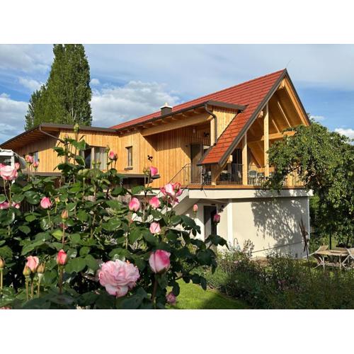 Weinquartier - Weinrebenblick Kleindienst