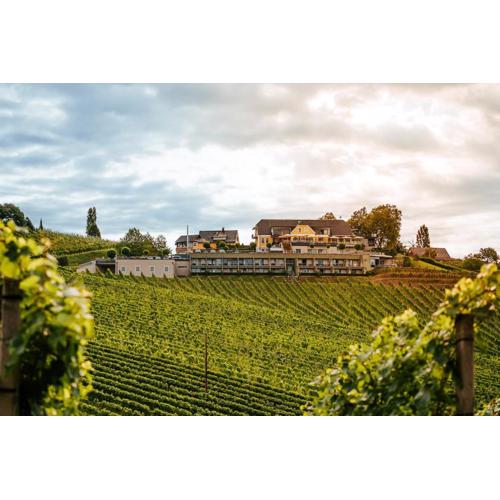 Weinrefugium Brolli