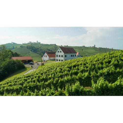 Weinschmiede 18'
