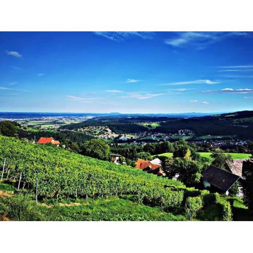WIEDNERMICHL - Urlaub in den Weinbergen