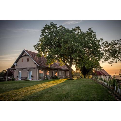 Winzarei, Weingut Tement