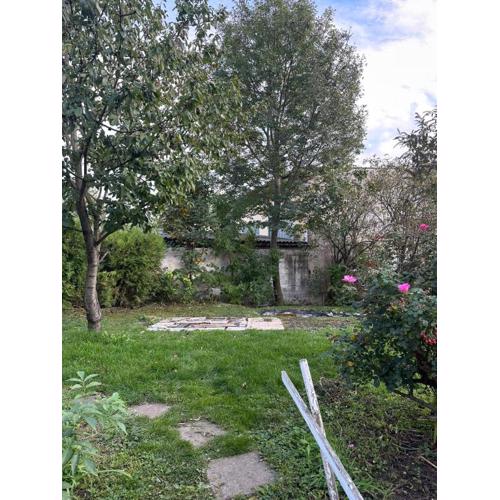 Wohnen mit Garten Lillys 3 oder Julis 1
