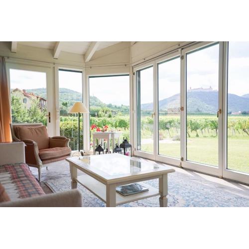 Wonderful Villa among the Vineyards