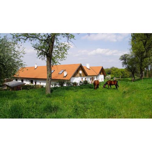 wundervoll eben - CHALETS & PLÄTZE voller WUNDER - NOTSCHKERL & FEINIS