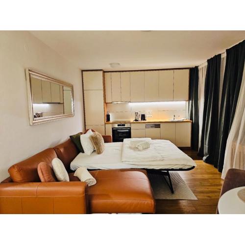 Your Second Home in the Alps