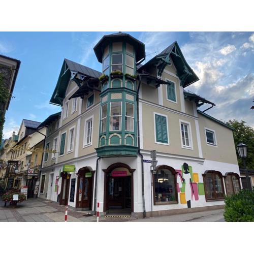 Zentrale Lage in Bad Ischl - Top 2