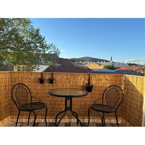 Zum Breyer BNB City Apartment