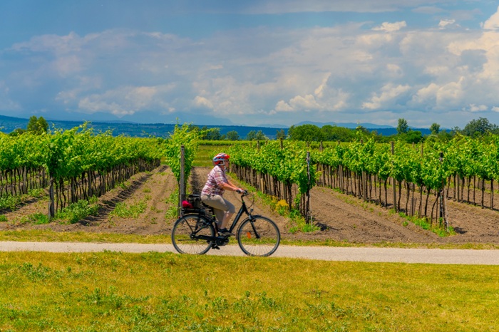 Burgenland 